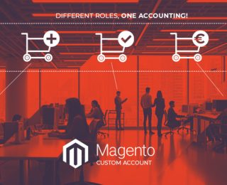 Magento B2B Parent/Child Account System
